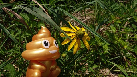 110-95(9-9)高原の里93