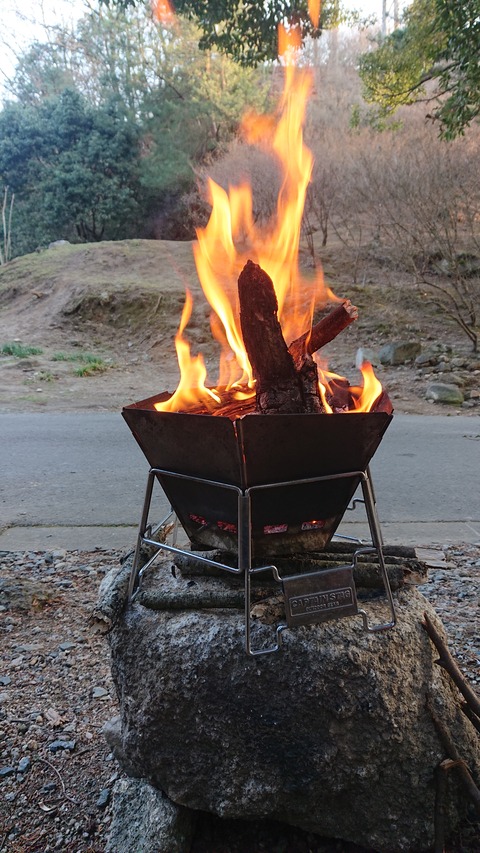 88-74(43-38)昭和の森一本松サイト887