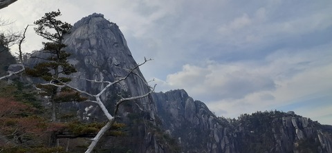 236-219(25-24)大崩山1104_145445