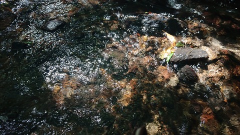 114-99(13-13)9.BASE 520