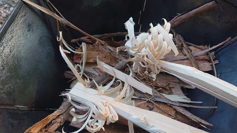 88-74(43-38)昭和の森一本松サイト881