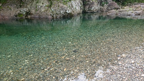 55-44(10-8)カワセミ公園992S