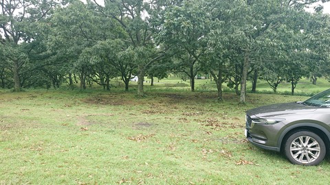 59-48(14-12)瀬の本高原オートキャンプ場410SR