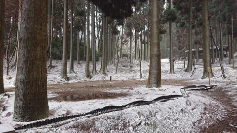 78-63(33-29)北山キャンプ場71S