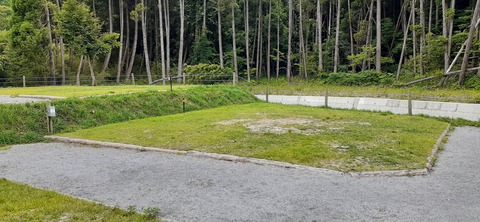 216-200(5-5)山鳥の森623_132017