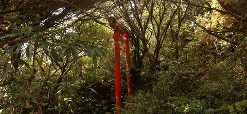 257-238(46-43)開聞岳428_090106