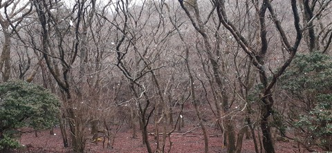 251-232(40-37)法華院温泉山荘2泊目223_130634