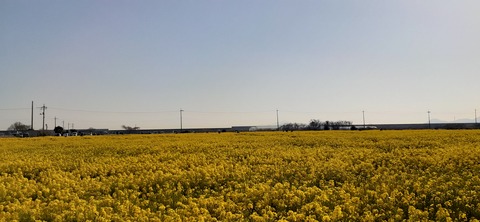 200-184(42-41)糸根地区公園キャンプ場319_155150