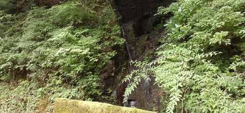 227-210(16-15)スノーピーク奥日田902_144253