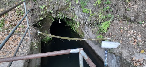 158-143(57-57)陽目の里キャンピングパーク507_135824