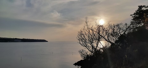 203-187(45-44)長崎鼻リゾートキャンプ場401_174814