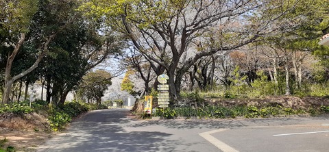 203-187(45-44)長崎鼻リゾートキャンプ場401_112332