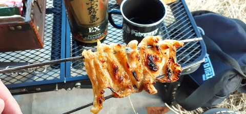 251-232(40-37)伽藍岳ゲリラキャン302_170245