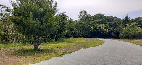 266-247(3-3)天空の杜601_121355