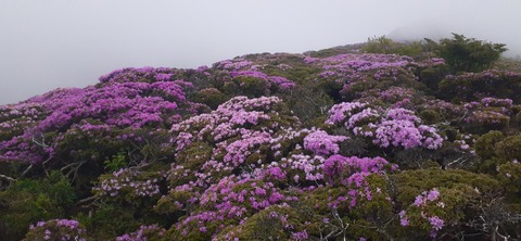 266-247(3-3)天空の杜602_092941