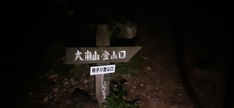 236-219(25-24)大崩山1104_060002