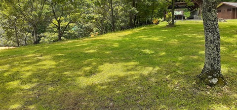 165-150(7-7)ヒゴタイ公園716_124011