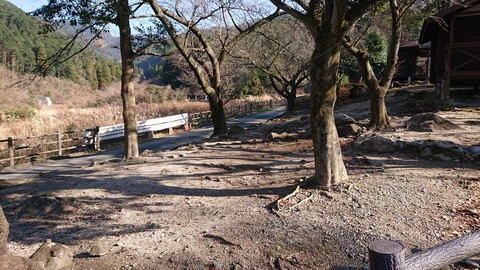 29-22昭和の森猫石サイト1085S