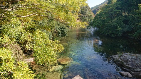 68-55(23-19)藤河内渓谷キャンプ場187S