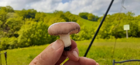 159-144(1-1)遊牧民521_144455