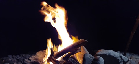 189-173(31-30)大島加代海岸103_182022