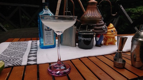 118-103(17-17)グランピングKAWASAKI２78S