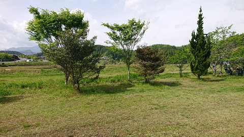 98-83(53-47)辻河原公園847