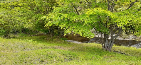 159-144(1-1)遊牧民521_115704