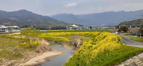 199-183(41-40)山中キャンプ場312_111712