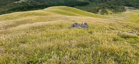 233-216(22-21)9.BASE1014_135033