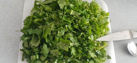 242-225(31-30)トゥーリキャンプサイト1202_103809