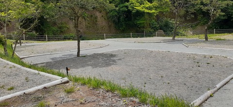 216-200(5-5)山鳥の森623_131255