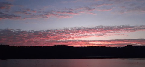 241-224(30-29)奥霧島御池キャンプ場②1126_064407