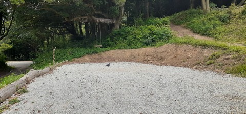 213-197(2-2)レムブランベースC527_131437