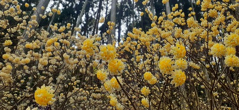 254-235(43-40)長崎鼻リゾート②330_113438