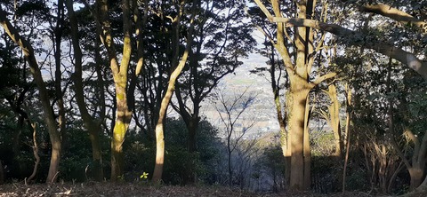 251-232(40-37)大坂山障子ヶ岳218_082613