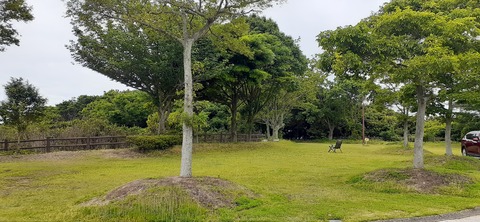 212-196(1-1)竜王山公園AC520_101205