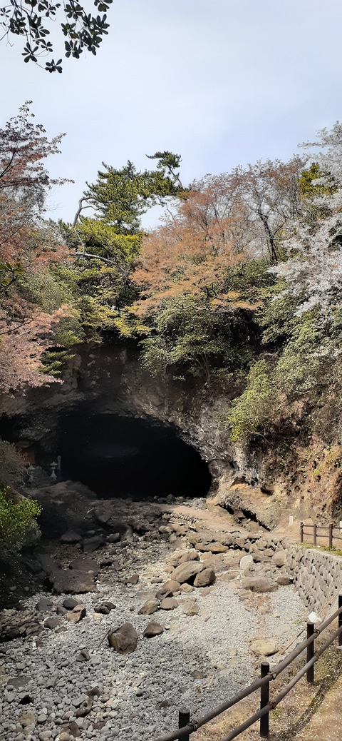 203-187(45-44)長崎鼻リゾートキャンプ場401_130356