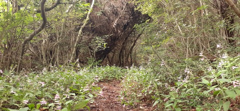 227-210(16-15)スノーピーク奥日田902_095701