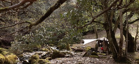 202-186(44-43)八木山渓流公園325_133112