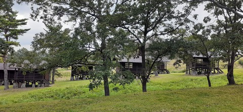 228-211(17-16)泉水キャンプ村909_130556