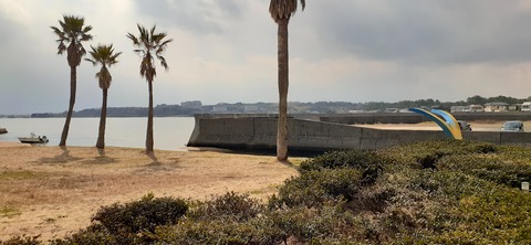 198-182(40-39)キワラビーチ225_133835