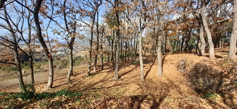 135-120(34-34)草枕山荘30_125748