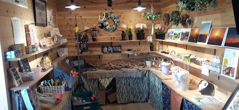 190-174(32-31)たまなフラワーパーク108_110553