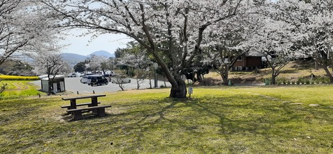203-187(45-44)長崎鼻リゾートキャンプ場401_113543