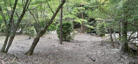 156-141(55-55)鹿川キャンプ場505_152931