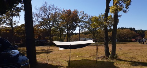 180-164(22-21)久住高原Ｈ天空の大地1103_124343