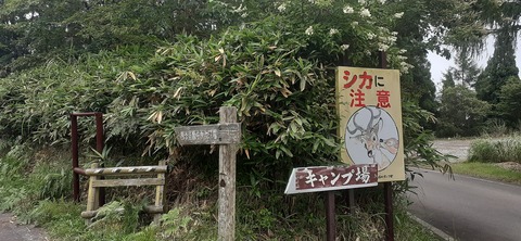 223-206(12-11)四季見原すこやかの森②815_120830