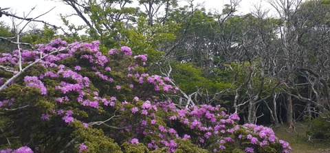 266-247(3-3)天空の杜602_084035