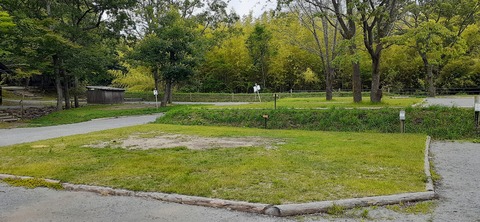 216-200(5-5)山鳥の森623_132027